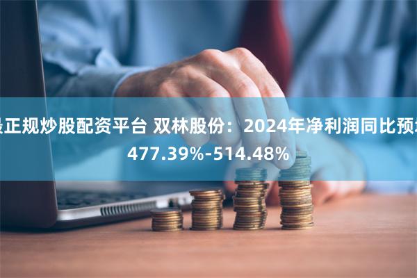 最正规炒股配资平台 双林股份：2024年净利润同比预增477.39%-514.48%