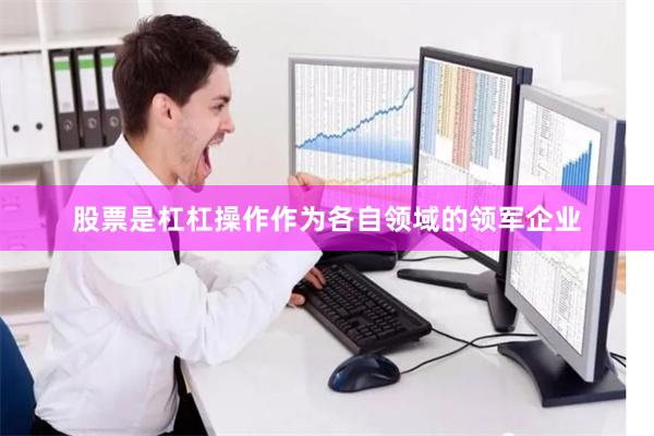 股票是杠杠操作作为各自领域的领军企业